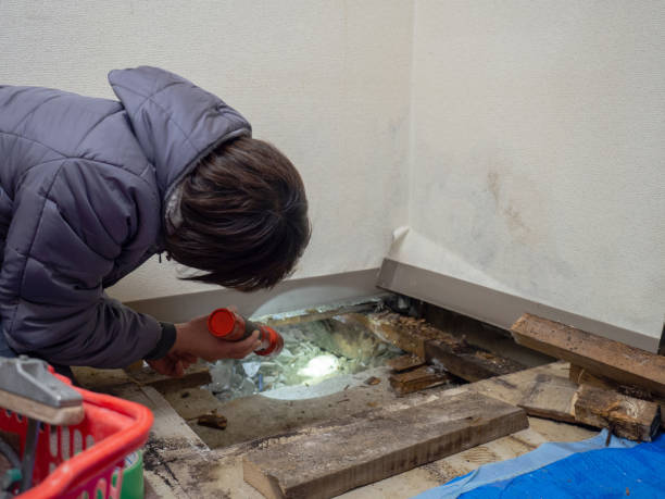 Best Real Estate Mold Inspection  in Beverly Hills, TX
