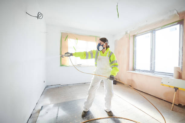 Best Basement Mold Removal  in Beverly Hills, TX