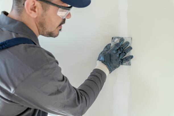 Best Emergency Mold Remediation  in Beverly Hills, TX