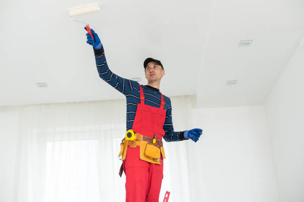 Best Mold Odor Removal Services  in Beverly Hills, TX