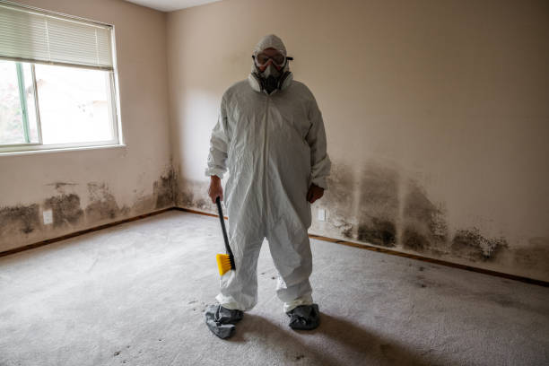 Best Mold Prevention Services  in Beverly Hills, TX